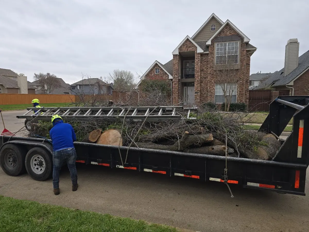 Expert Tree Pest Control with proper safety equipment in Akron